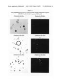 Continuous imaging of nucleic acids diagram and image