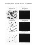 Continuous imaging of nucleic acids diagram and image