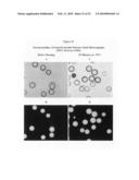 Continuous imaging of nucleic acids diagram and image