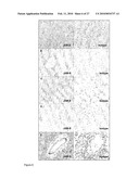 JUNCTIONAL ADHESION MOLECULE-C (JAM-C) BINDING COMPOUNDS AND METHODS OF THEIR USE diagram and image