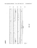 Structural Variants of Antibodies for Improved Therapeutic Characteristics diagram and image