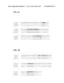 Structural Variants of Antibodies for Improved Therapeutic Characteristics diagram and image