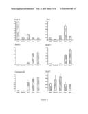 Differentiation of Pluripotent Cells into Primary Germ Layer Progenitors diagram and image