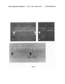 Novel carbosilane dendrimers, preparation method thereof and use of same diagram and image