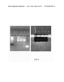 Novel carbosilane dendrimers, preparation method thereof and use of same diagram and image