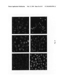 Novel carbosilane dendrimers, preparation method thereof and use of same diagram and image