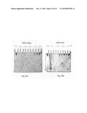 Novel carbosilane dendrimers, preparation method thereof and use of same diagram and image