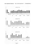 Novel carbosilane dendrimers, preparation method thereof and use of same diagram and image