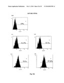 Novel carbosilane dendrimers, preparation method thereof and use of same diagram and image