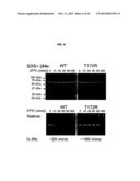 ANTI-COCAINE COMPOSITIONS AND TREATMENT diagram and image