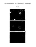 ANTI-COCAINE COMPOSITIONS AND TREATMENT diagram and image