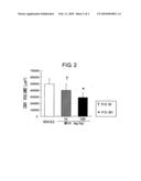 THERAPEUTIC AGENTS FOR DISEASES INVOLVING CHOROIDAL NEOVASCULARIZATION diagram and image