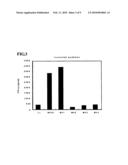 ANTIGENIC POLYPEPTIDE USABLE AS THERAPEUTIC AGENT FOR MALIGNANT NEOPLASM diagram and image