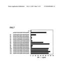 ANTIGENIC POLYPEPTIDE USABLE AS THERAPEUTIC AGENT FOR MALIGNANT NEOPLASM diagram and image