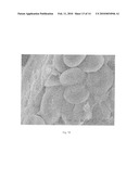 RESISTANT STARCH-HYDROCOLLOID BLENDS AND USES THEREOF diagram and image