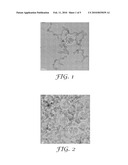 ACICULAR SILICA COATING FOR ENHANCED HYDROPHILICITY/TRANSMITTIVITY diagram and image