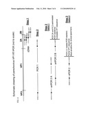 METHODS AND AGENTS FOR DETECTING PARECHOVIRUS diagram and image