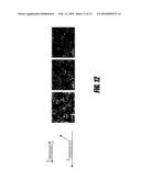 Triggered RNAi diagram and image