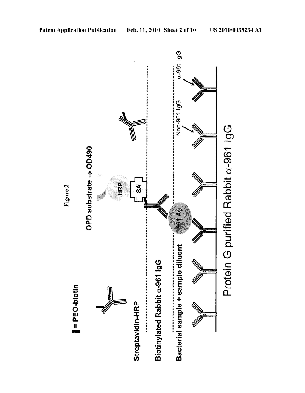 VACCINE ASSAYS - diagram, schematic, and image 03