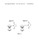 SURFACE-BASED NUCLEIC ACID ASSAYS EMPLOYING MORPHOLINOS diagram and image