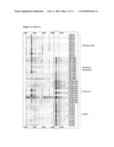 BIOMARKERS FOR RENAL DISEASE diagram and image