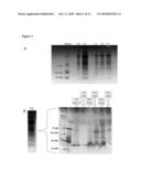 BIOMARKERS FOR RENAL DISEASE diagram and image