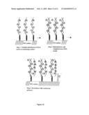 DETECTION OF NEGATIVELY CHARGED POLYMERS USING WATER-SOLUBLE, CATIONIC, POLYTHIOPHENE DERIVATIVES diagram and image