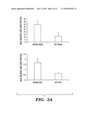 Secreted Luciferase Fluorescent Protein Conjugate Nucleic Acid Construct and Uses Thereof diagram and image