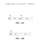 Secreted Luciferase Fluorescent Protein Conjugate Nucleic Acid Construct and Uses Thereof diagram and image