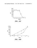 Secreted Luciferase Fluorescent Protein Conjugate Nucleic Acid Construct and Uses Thereof diagram and image