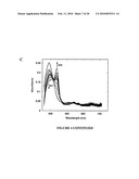 METHOD AND COMPOSITION FOR ENZYME STORAGE diagram and image