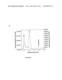 METHOD AND COMPOSITION FOR ENZYME STORAGE diagram and image