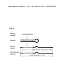 Nucleic Acid molecules and Collections Thereof, Their Application and Modification diagram and image