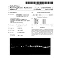 POLYMERASE diagram and image