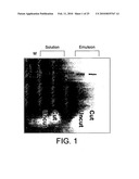 POLYMERASE diagram and image