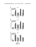 POLYMERASE diagram and image