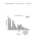 POLYMERASE diagram and image