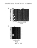 POLYMERASE diagram and image