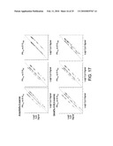 POLYMERASE diagram and image