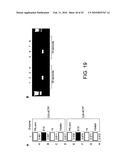 POLYMERASE diagram and image