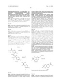 SUBSTITUTED SULFONYLAMINOARYLMETHYL CYCLOPROPANECARBOXAMIDE AS VR1 RECEPTOR ANTAGONISTS diagram and image