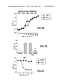 Oligonucleotide and use thereof diagram and image