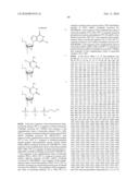 Method of treating a tumor or a viral disease by administering a 2  , 5  -oligoadenylate analog diagram and image