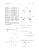 Method of treating a tumor or a viral disease by administering a 2  , 5  -oligoadenylate analog diagram and image