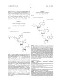 Method of treating a tumor or a viral disease by administering a 2  , 5  -oligoadenylate analog diagram and image