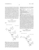 Method of treating a tumor or a viral disease by administering a 2  , 5  -oligoadenylate analog diagram and image