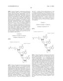 Method of treating a tumor or a viral disease by administering a 2  , 5  -oligoadenylate analog diagram and image