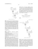 Method of treating a tumor or a viral disease by administering a 2  , 5  -oligoadenylate analog diagram and image