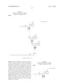 Method of treating a tumor or a viral disease by administering a 2  , 5  -oligoadenylate analog diagram and image