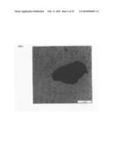 PROCESS FOR PREPARING POLYMERS FILLED WITH NANOSCALE METAL OXIDES diagram and image